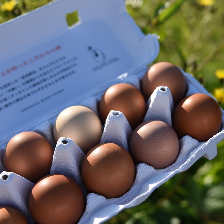 フルーツエッグ