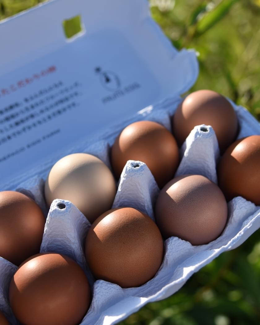 フルーツエッグ